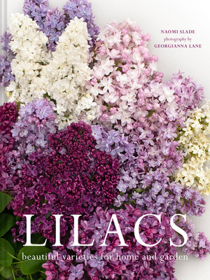Lilacs - ebook
